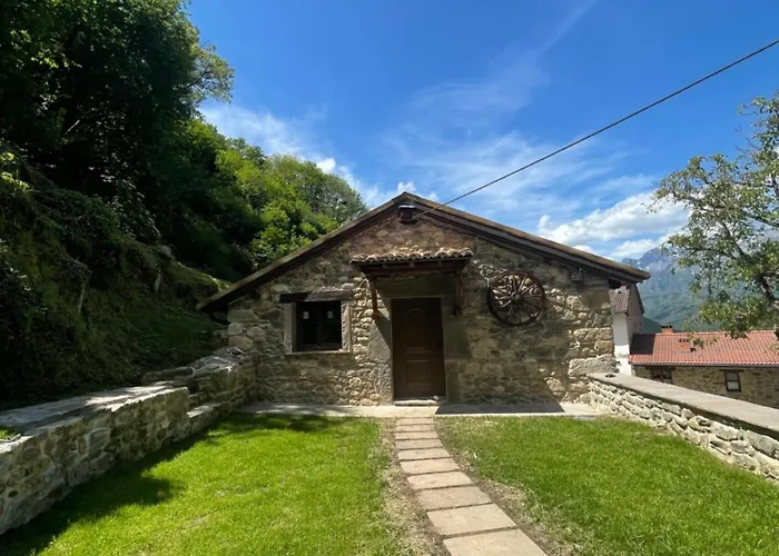 Cabana Los Tejos San Pedro photo