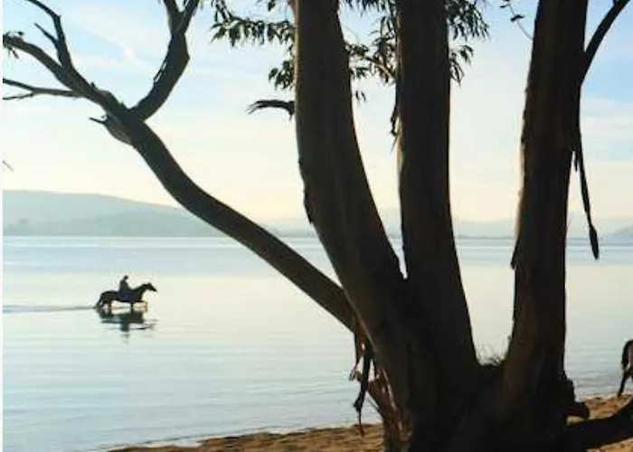 Apartamento Laredo Con Terraza photo